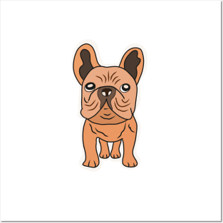 Isolated of a cute puppy french bulldog Posters and Art
